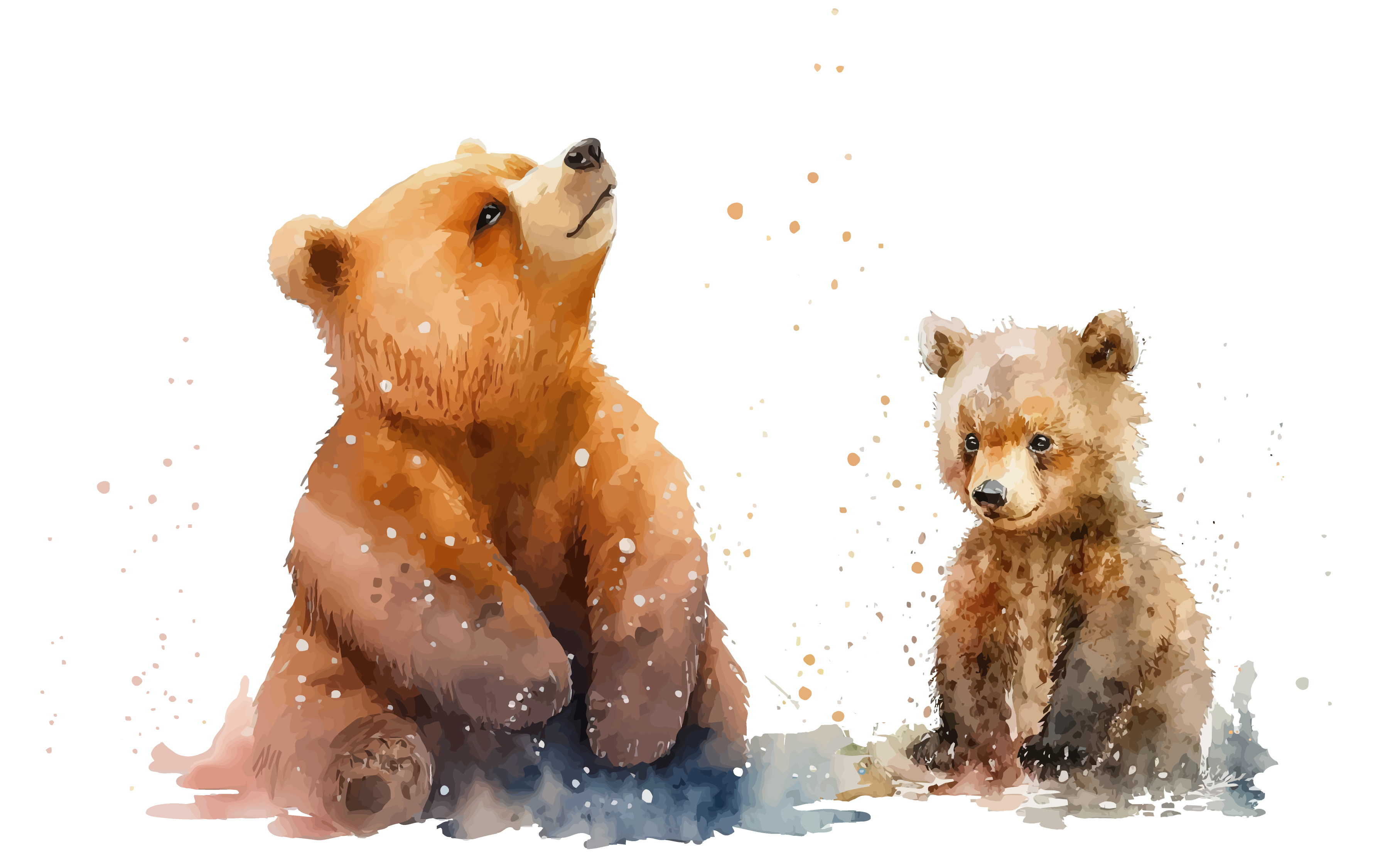 momma and baby bear illustration